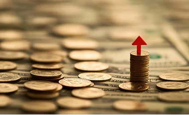 Annual-Return-2024-2025