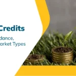 02_02_2026_MMCM_Types of Carbon Credit-01