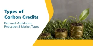 02_02_2026_MMCM_Types of Carbon Credit-01