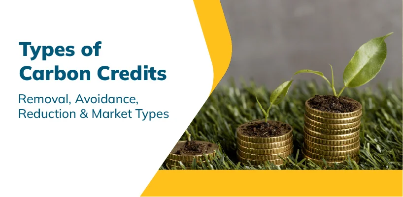 02_02_2026_MMCM_Types of Carbon Credit-01
